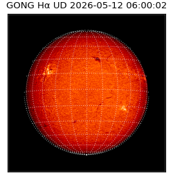 gong - 2026-05-12T06:00:02