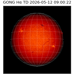 gong - 2026-05-12T09:00:22