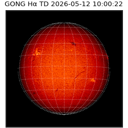 gong - 2026-05-12T10:00:22