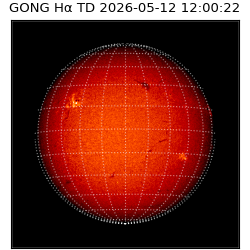gong - 2026-05-12T12:00:22