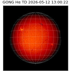 gong - 2026-05-12T13:00:22
