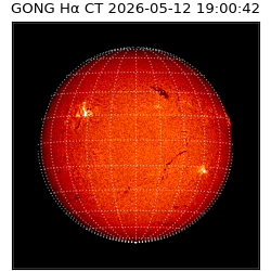 gong - 2026-05-12T19:00:42