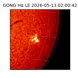 gong - 2026-05-13T02:00:42