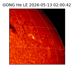gong - 2026-05-13T02:00:42