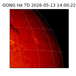 gong - 2026-05-13T14:00:22