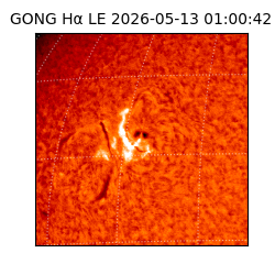 gong - 2026-05-13T01:00:42