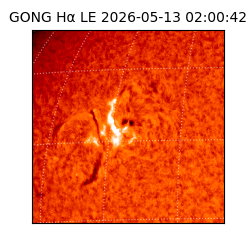gong - 2026-05-13T02:00:42
