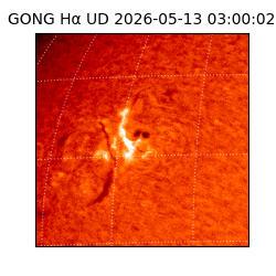gong - 2026-05-13T03:00:02