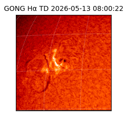 gong - 2026-05-13T08:00:22