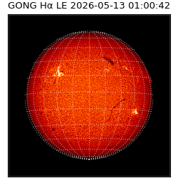 gong - 2026-05-13T01:00:42