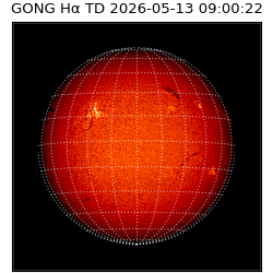 gong - 2026-05-13T09:00:22