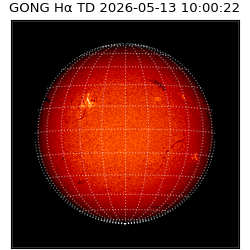 gong - 2026-05-13T10:00:22