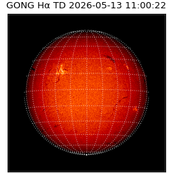 gong - 2026-05-13T11:00:22
