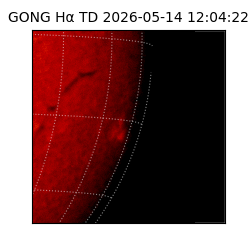 gong - 2026-05-14T12:04:22