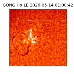 gong - 2026-05-14T01:00:42