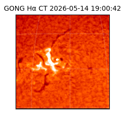 gong - 2026-05-14T19:00:42
