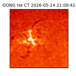 gong - 2026-05-14T21:00:42