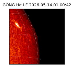 gong - 2026-05-14T01:00:42