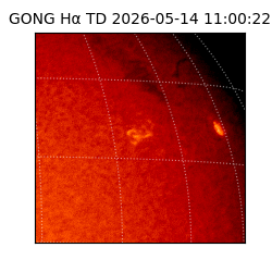 gong - 2026-05-14T11:00:22