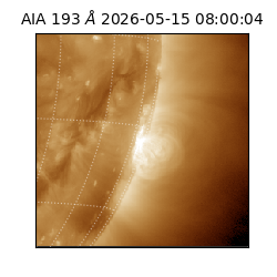 saia - 2026-05-15T08:00:04.842000