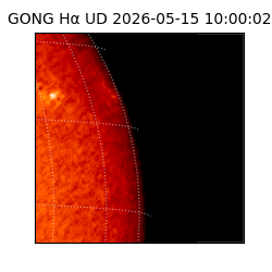 gong - 2026-05-15T10:00:02