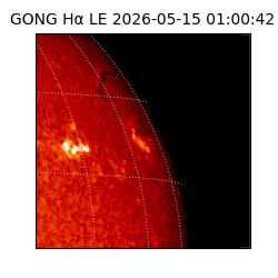 gong - 2026-05-15T01:00:42