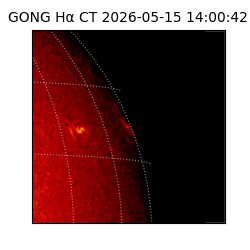 gong - 2026-05-15T14:00:42