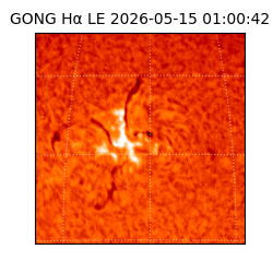 gong - 2026-05-15T01:00:42