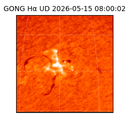 gong - 2026-05-15T08:00:02