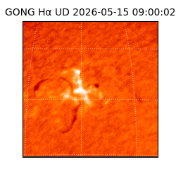 gong - 2026-05-15T09:00:02