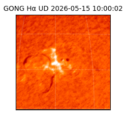 gong - 2026-05-15T10:00:02