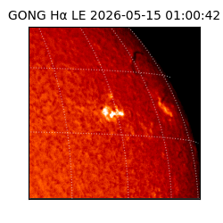 gong - 2026-05-15T01:00:42