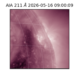 saia - 2026-05-16T09:00:09.638000