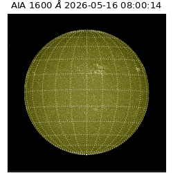 saia - 2026-05-16T08:00:14.123000