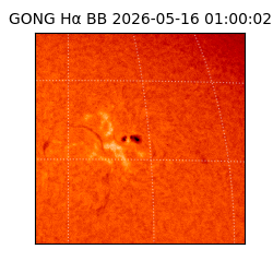 gong - 2026-05-16T01:00:02