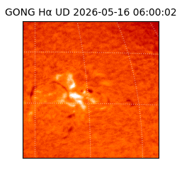 gong - 2026-05-16T06:00:02