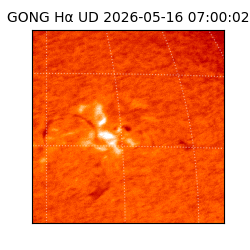 gong - 2026-05-16T07:00:02