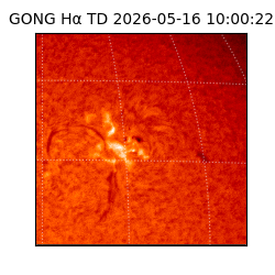 gong - 2026-05-16T10:00:22