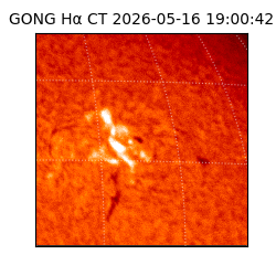 gong - 2026-05-16T19:00:42