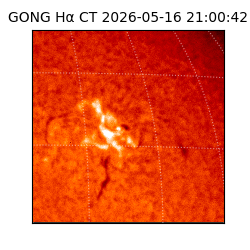 gong - 2026-05-16T21:00:42