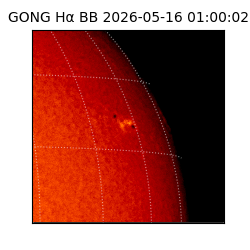 gong - 2026-05-16T01:00:02