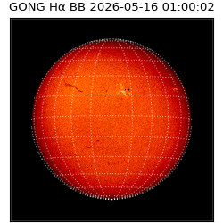 gong - 2026-05-16T01:00:02