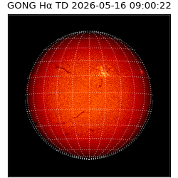 gong - 2026-05-16T09:00:22