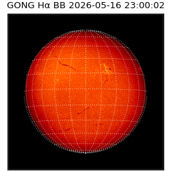 gong - 2026-05-16T23:00:02