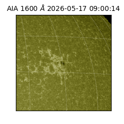 saia - 2026-05-17T09:00:14.123000