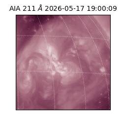 saia - 2026-05-17T19:00:09.622000