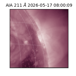 saia - 2026-05-17T08:00:09.624000
