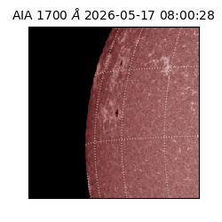 saia - 2026-05-17T08:00:28.717000