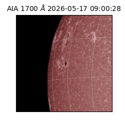 saia - 2026-05-17T09:00:28.717000