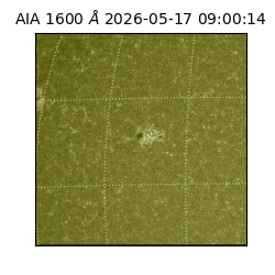 saia - 2026-05-17T09:00:14.123000
